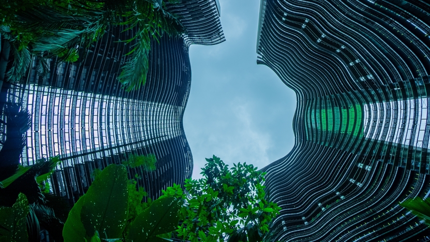 The Network Technologies That Will Enable Stronger, Broad-Based Sustainability in 2025